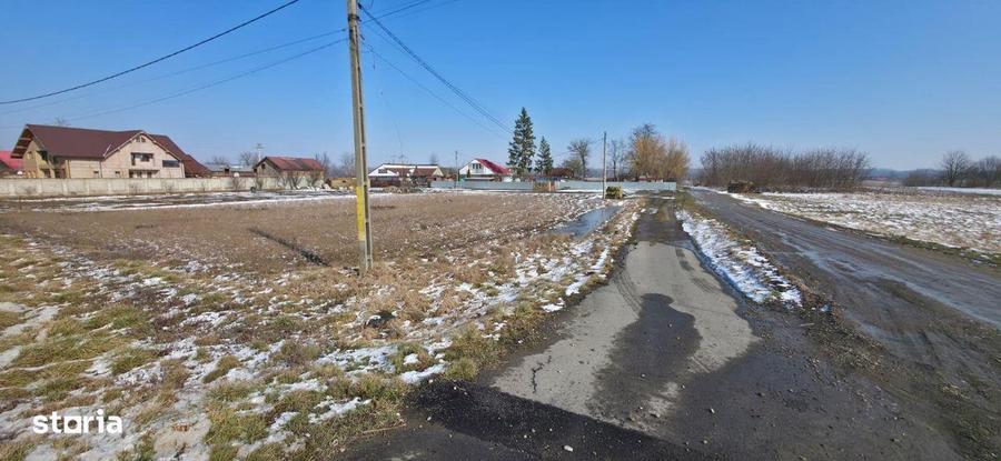 VAND -Teren 11.400 mp Oni?cani, jude?ul Bacau - 5