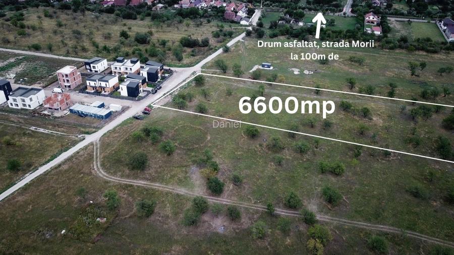 Teren Intravilan Cu P.U.Z In Centrul Ghimbavului