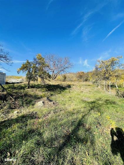 Teren de vanzare intravilan Oradea - 4