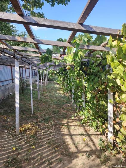 Vand casa la tara - 6