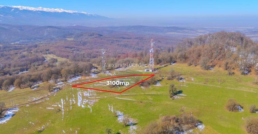 COMISION 0% Teren 3,100mp /Intravilan/ Dumbravi?a