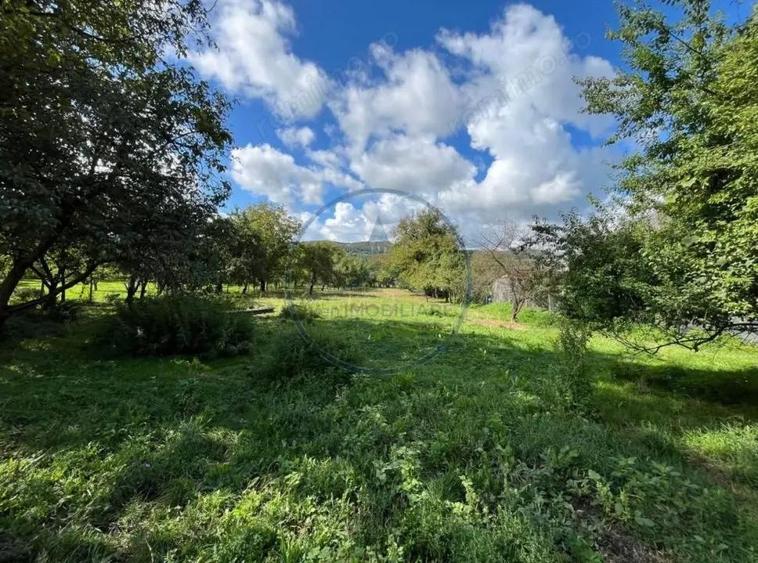 2 case + teren generos, in Nimigea de Sus - 3