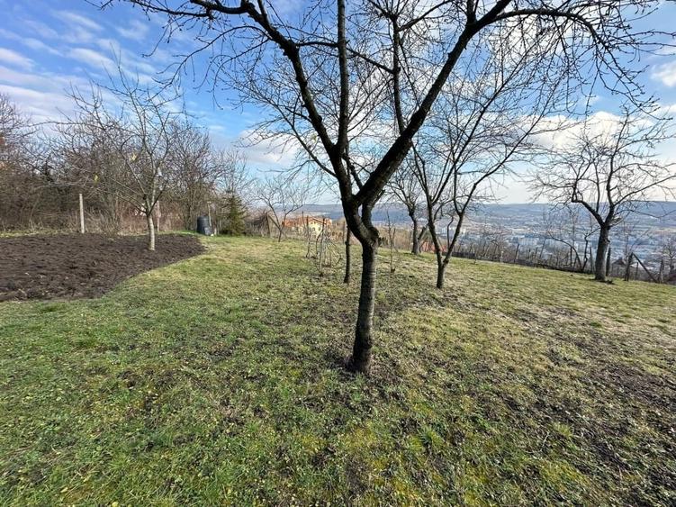 Vand Casa PLATOUL Cornesti str. CORNESTI- teren 1150 mp - 3