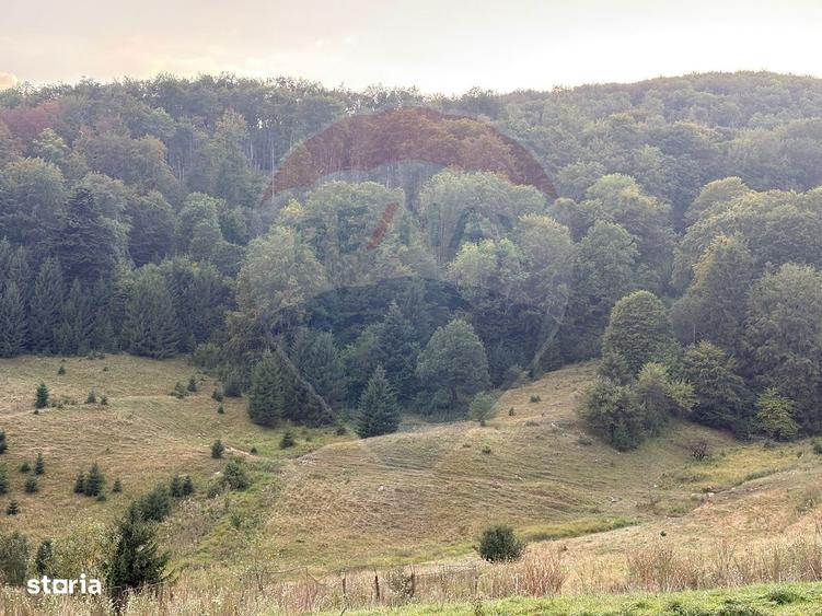 TEREN EXCLUSIV PENTRU INVESTI?IE IN ZONA DE AGREMENT BRA?OV, DN 1E - 2