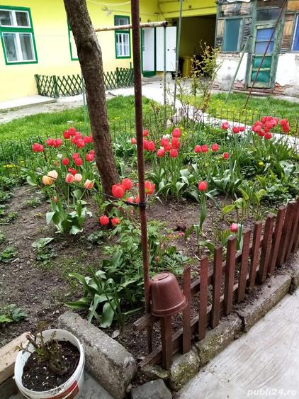 Casa aproape de centrul Sibiului la 5 minute de tot ce conteaza! - 5