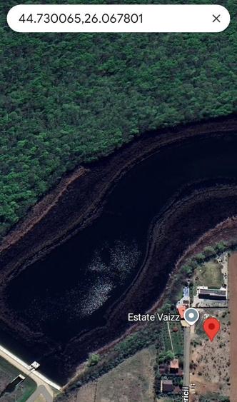Teren Ciolpani Piscu langa Lac Scrovistea Zona Snagov - 2