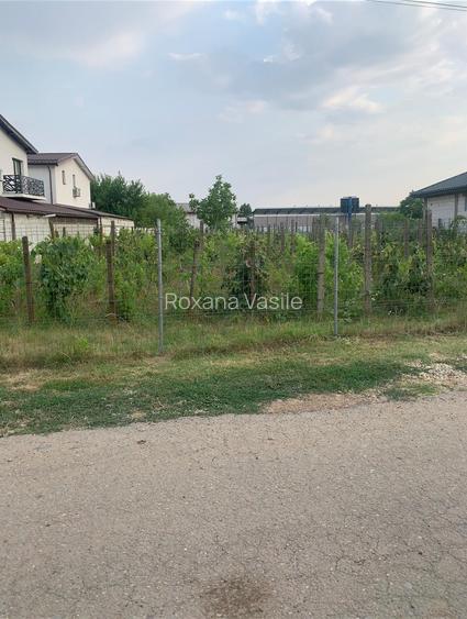 Vanzare Teren Intravilan  3000mp  str  Stadionului Stefanesti de Jos