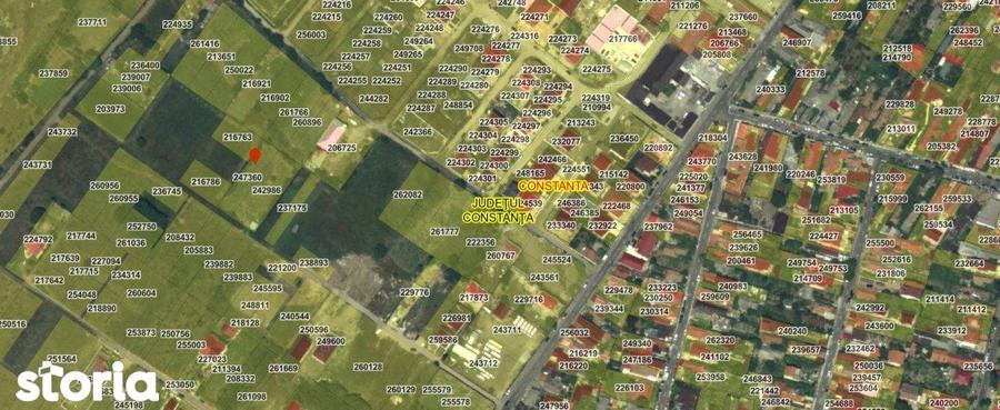 Teren intravilan - Viile Noi/Comarnic- 750 mp, utilitati in apropiere - 6