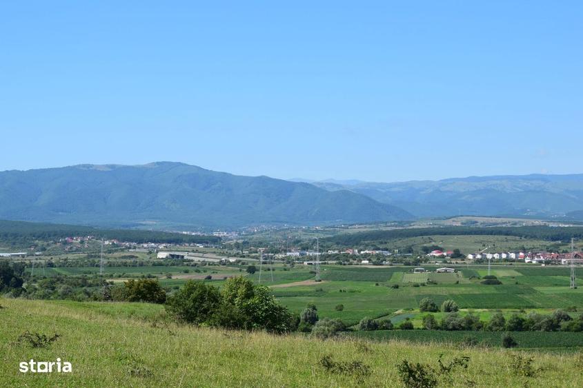 Teren De Vanzare Selimbar Zona Bungard - 5