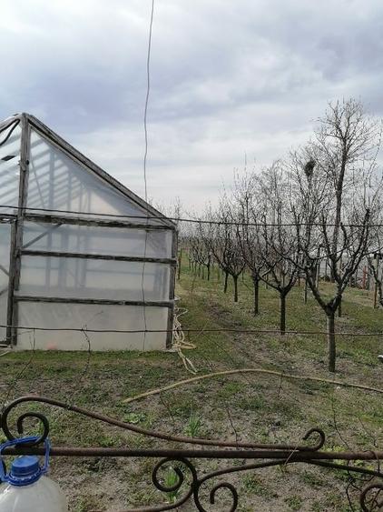 Vând casă și teren la 18 km de Alexandria, Teleorman! - 12