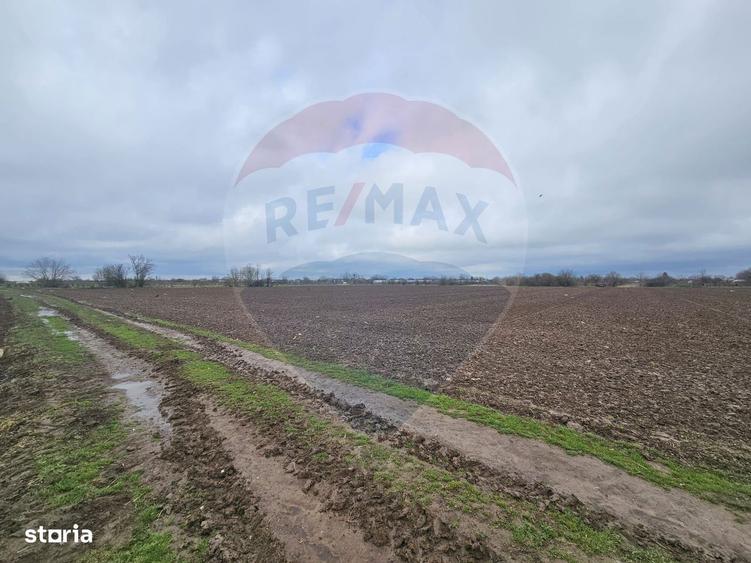 Teren de vanzare, intravilan, Adunatii-Copaceni Strada Scolii Primarie - 6