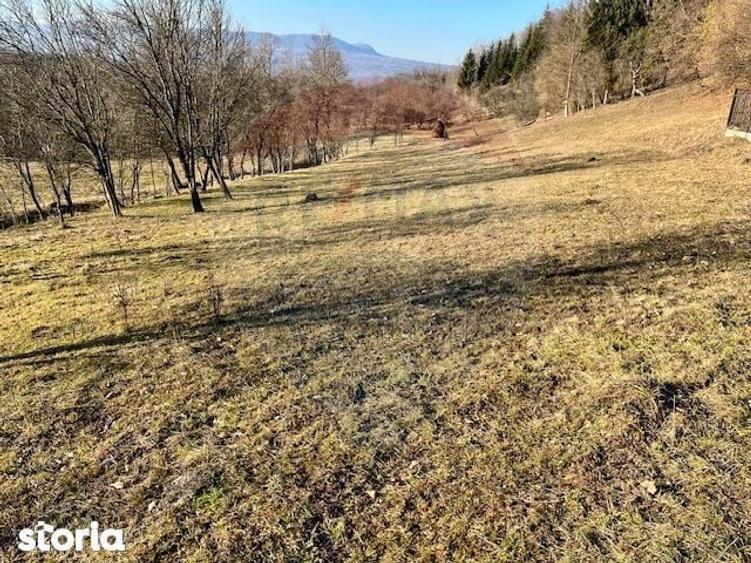 Teren extravilan Breb 6,900mp - 2