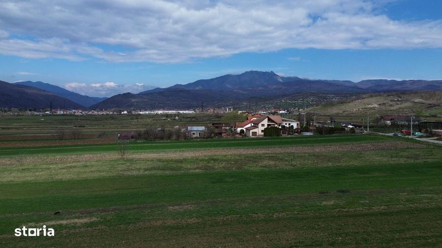 Teren / Jiblea Noua / Calimanesti / - 1