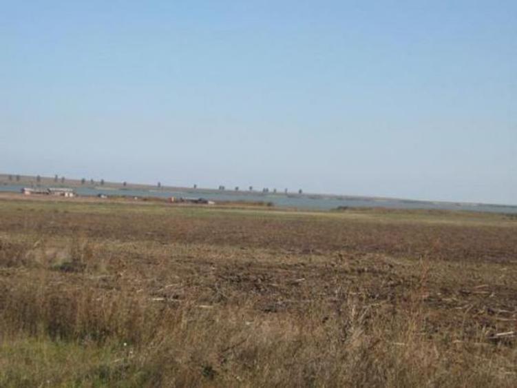 Teren Lacul Sinoe, Istria, Constanta 90,000 mp - 5