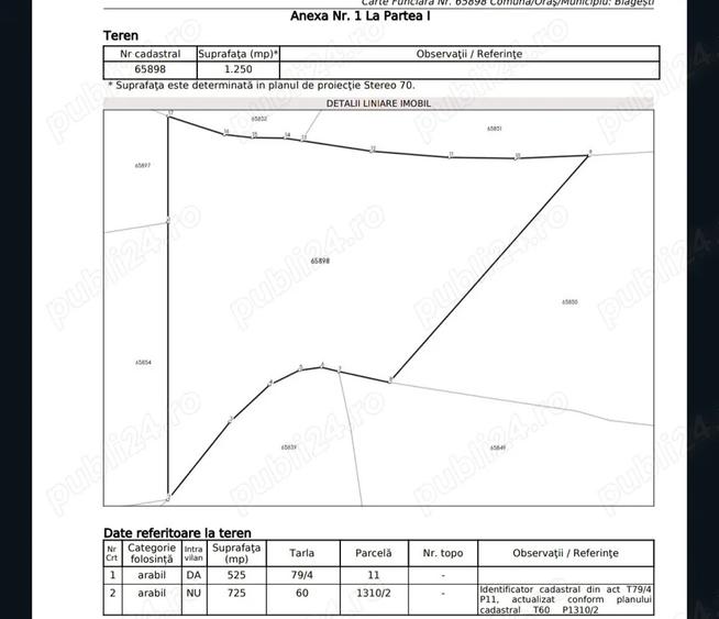 4.86euro mp - Teren casa intravilan deschidere 40m - 2650mp - 5
