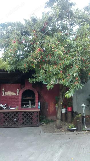 Vand casa in Deva sau schimb cu apartament sau garsoniera+diferen?a - 3