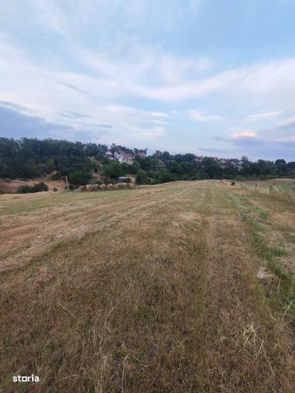 COMISION 0%!!! Teren extravilan, 7200 mp, in BAI SARATE TURDA - 3