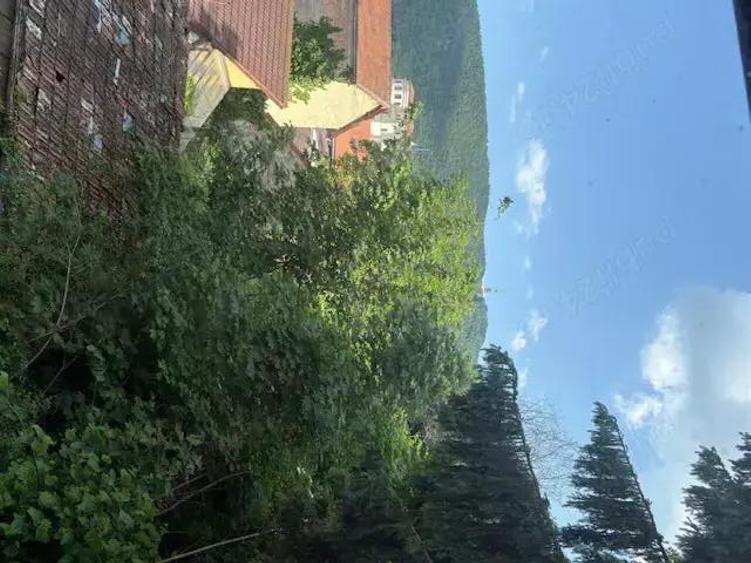 Proprieta?i Istorice Bra?ov - 2