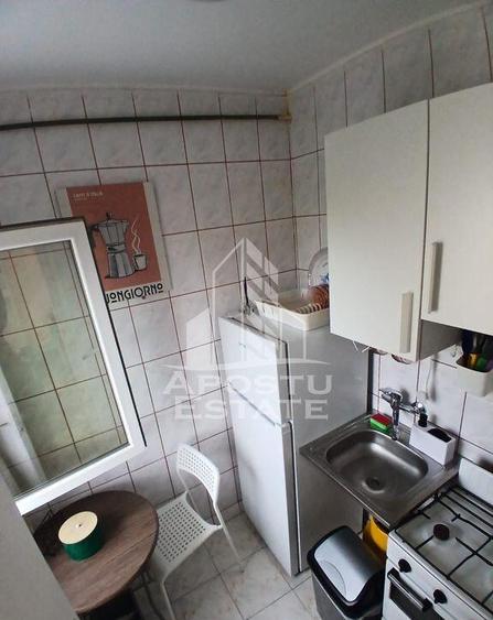 Garsoniera Pet friendly, zona Buziasului - 4