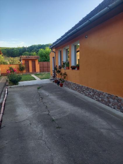 Vand casa Ioanis jud. Bihor, com Finis - 3