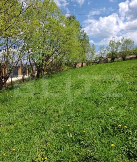 Teren intravilan, 1865 mp, de vanzare in Moieciu - Brasov - 6