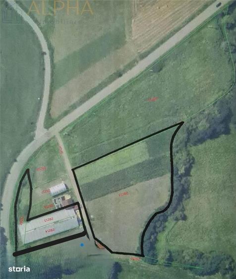 Afacere La Cheie Hala Productie + Sera Profesionala - 1