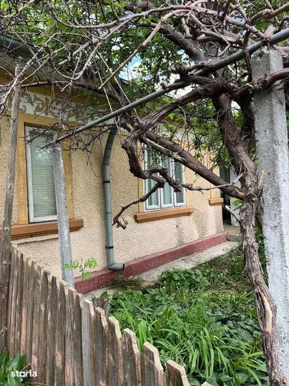 Casa singur in curte, 5 camere, teren 1452 mp - 2