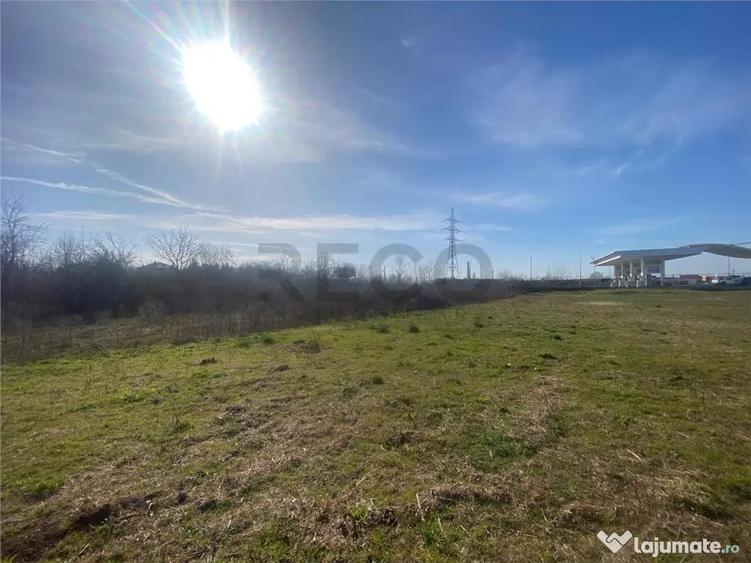 RECO teren extravilan 1011mp Episcopia - 1