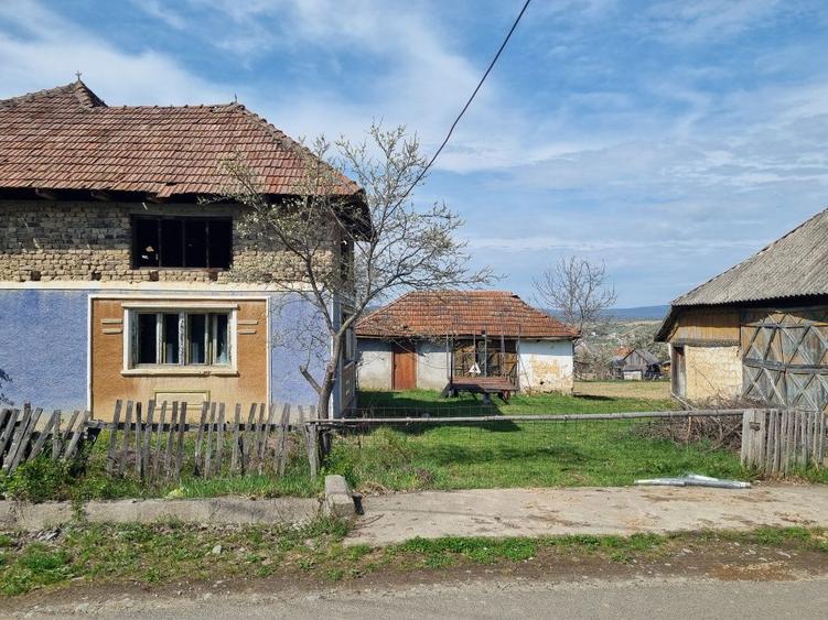 Casa cu teren 44 arii - 4