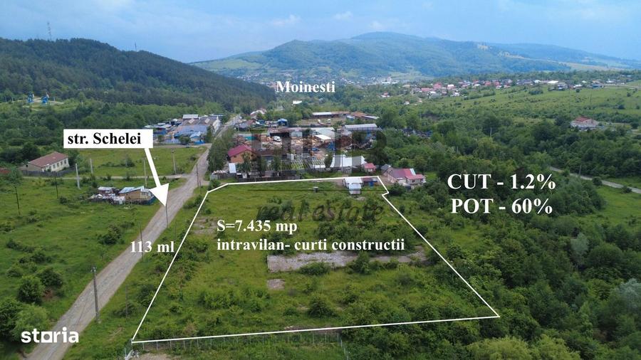 Teren intravilan curti constructii in Moinesti/Bacau - de vanzare - 2