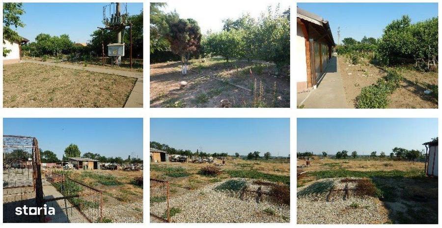 Teren intravilan 4.400 mp si constructie 269 mp | Oltenita - 3