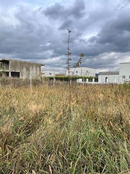 Cristian, Brasov - 4