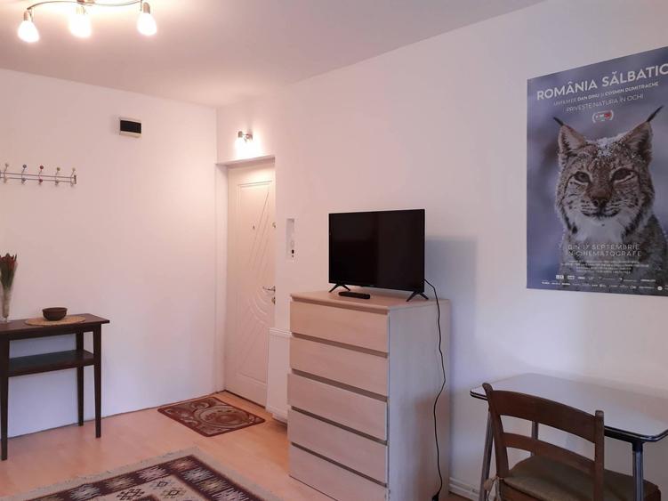 PF ofer Garsoniera de inchiriat, zona semicentrala Cluj-Napoca, cartier Gheorgheni, studio apartment - 6