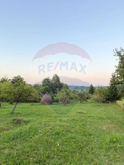 Teren în cea mai turistica localitate din Romania - Breb / Maramureș - 4