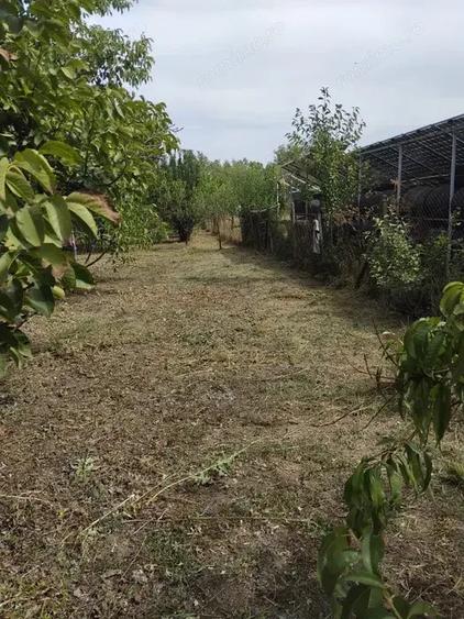 Casa caramida si Teren 1770mp Vanju Mare la DN56A - 2