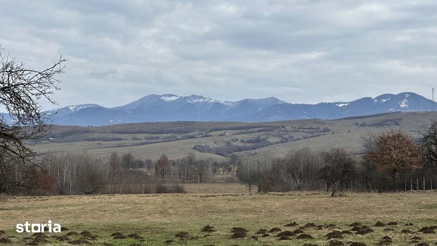 Teren de 30000 mp, în Bocicoiu Mare