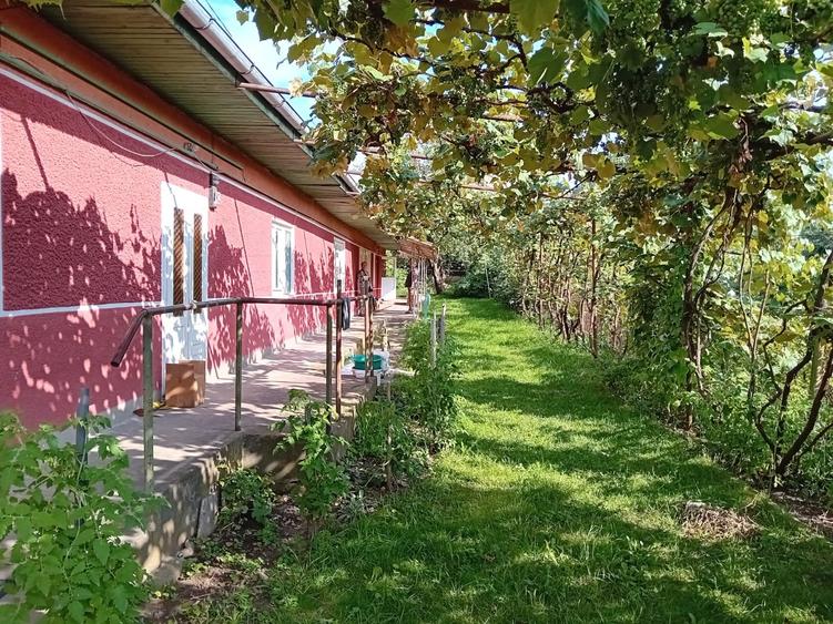 Casă individuală cu 2 camere cu Canalizare în Cristești