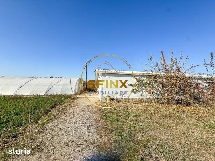 Teren de 29000 mp, în Nicolae Bălcescu