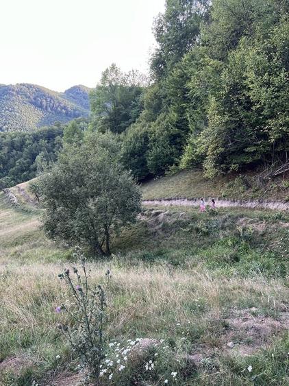 Casă cu 4 camere cu Teren 9000 Mp în Săcuieu