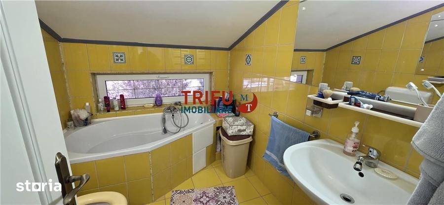 Casă cu 4 camere cu Teren 3000 Mp în Cricău