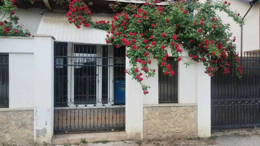 Spațiu comercial, de 27 mp, în Valea Lupului