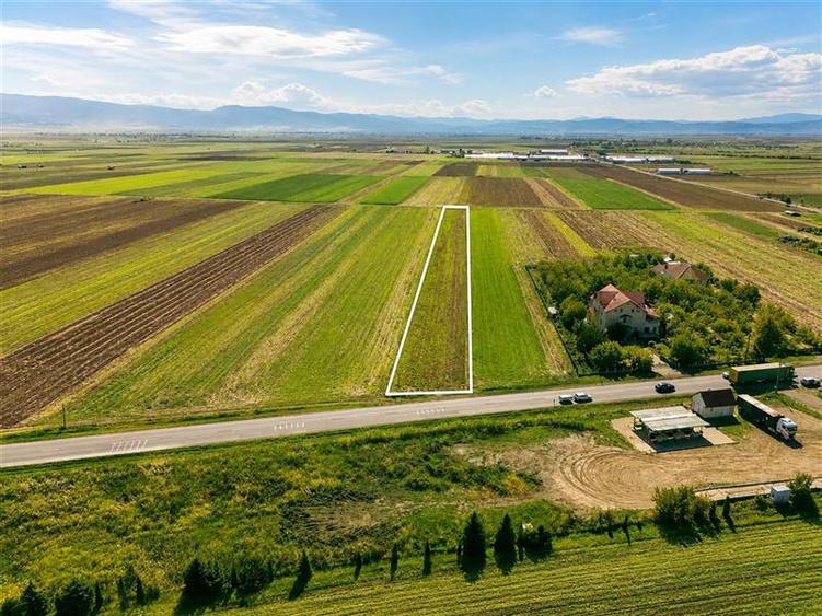 Teren Construcții intravilan de 7500 mp, în Cernat