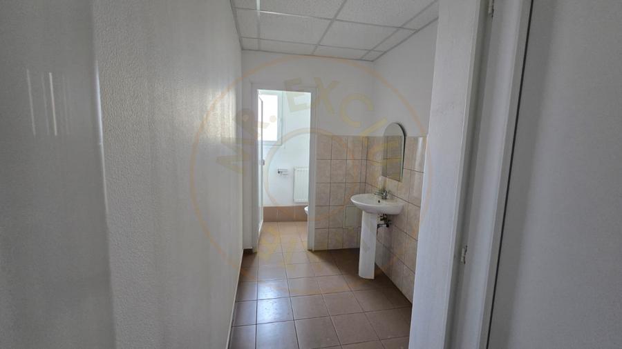 Birou, de 140 mp, în Careiului