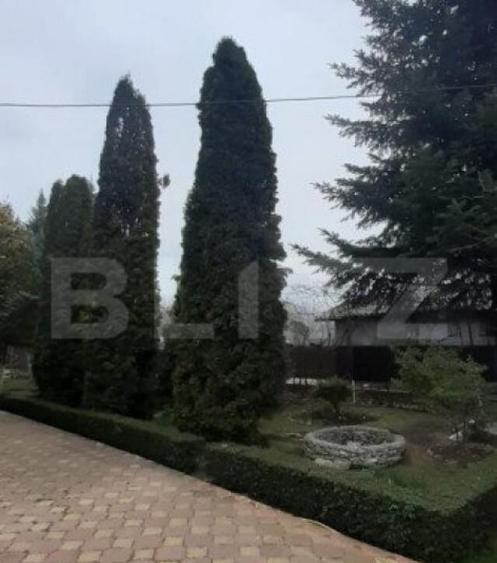 Vila 6 camere, Pucioasa - 14