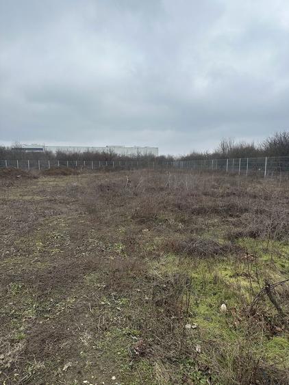 Vand teren intravilan Dragomiresti Vale 900 mp - 8