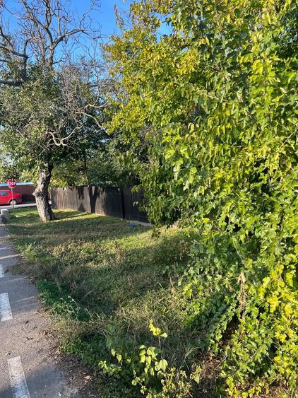 Galbinasi - jud. Calarasi, casa vanzare - 7