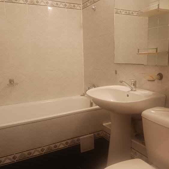 Apartament 2 camere de inchiriat Drumul Taberei-Ghencea - 11