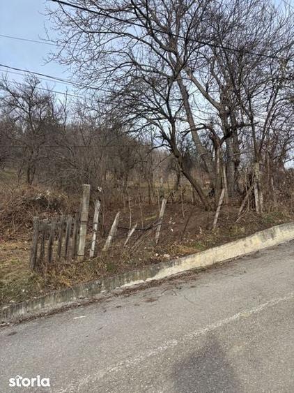 Teren de vanzare Fieni Dambovita - 2