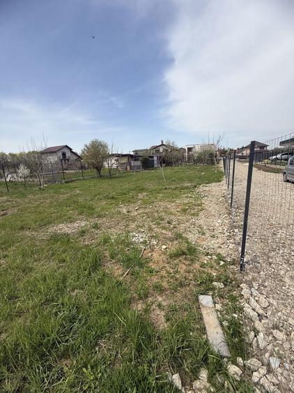 Teren Domnesti 840mp - 7