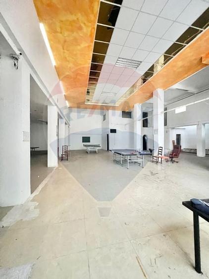 Spațiu comercial open-space de închiriat Teiul Doamnei - 2